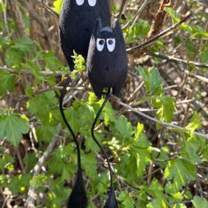 Mörksugga